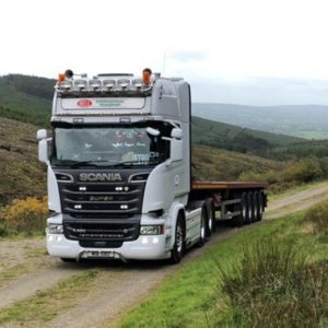 bell international haulage